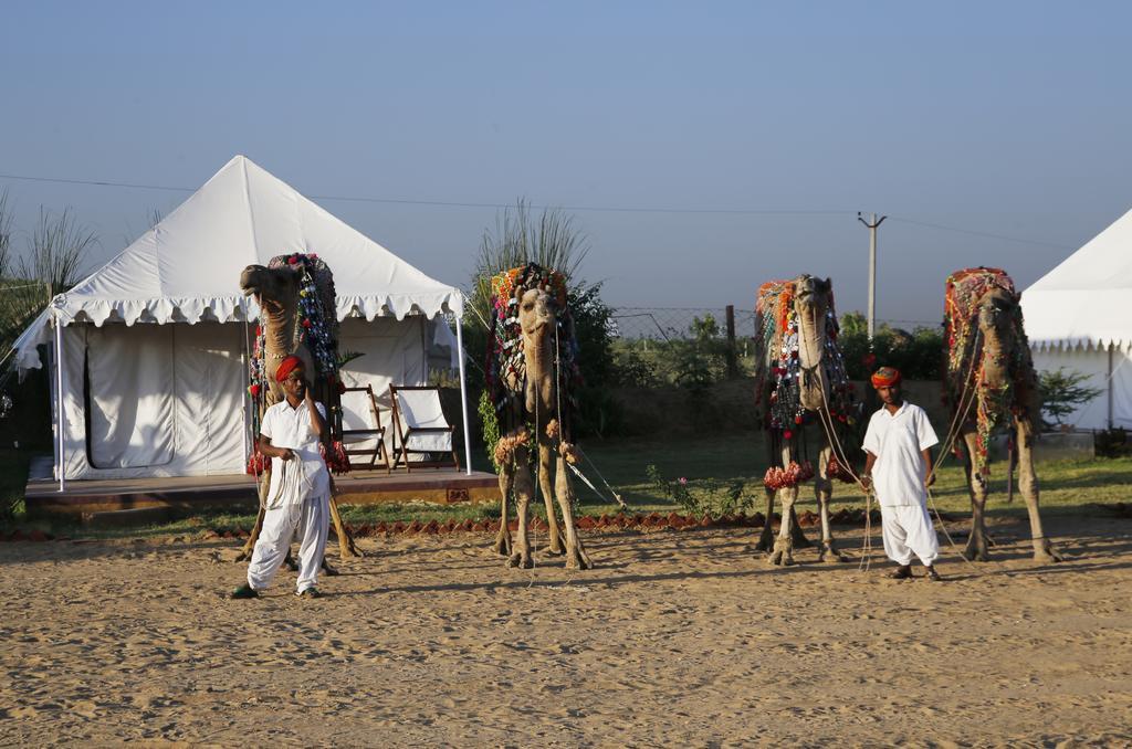 Pushkar Adventure Desert Camp ภายนอก รูปภาพ
